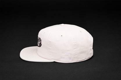 PLÁTICA Carerra GT Cap